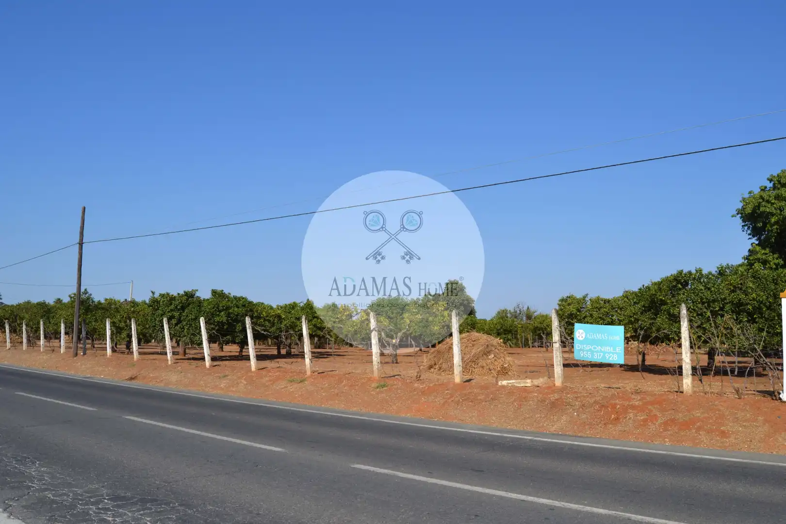 Casa o xalet en venda en Sanlúcar la Mayor amb Jardí privat, Terrassa i Piscina