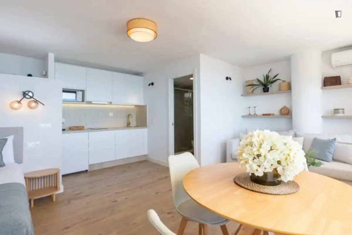 Study for rent in La Malagueta - Monte Sancha