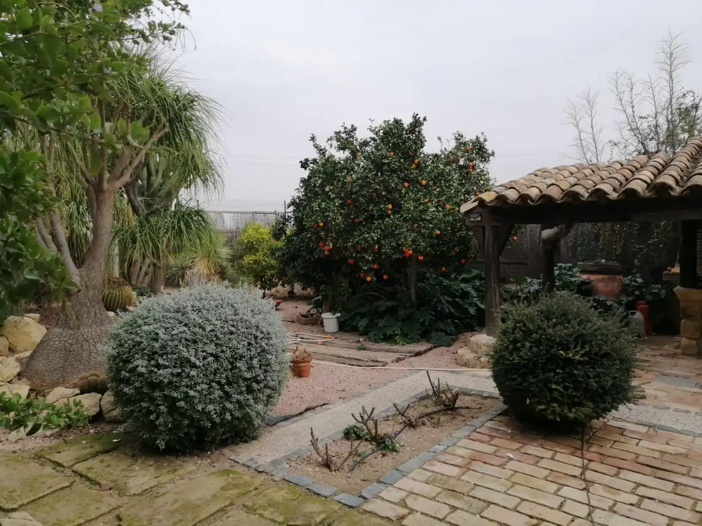 Jardí de Casa o xalet en venda en Murcia amb Calefacció, Jardí privat i Parquet