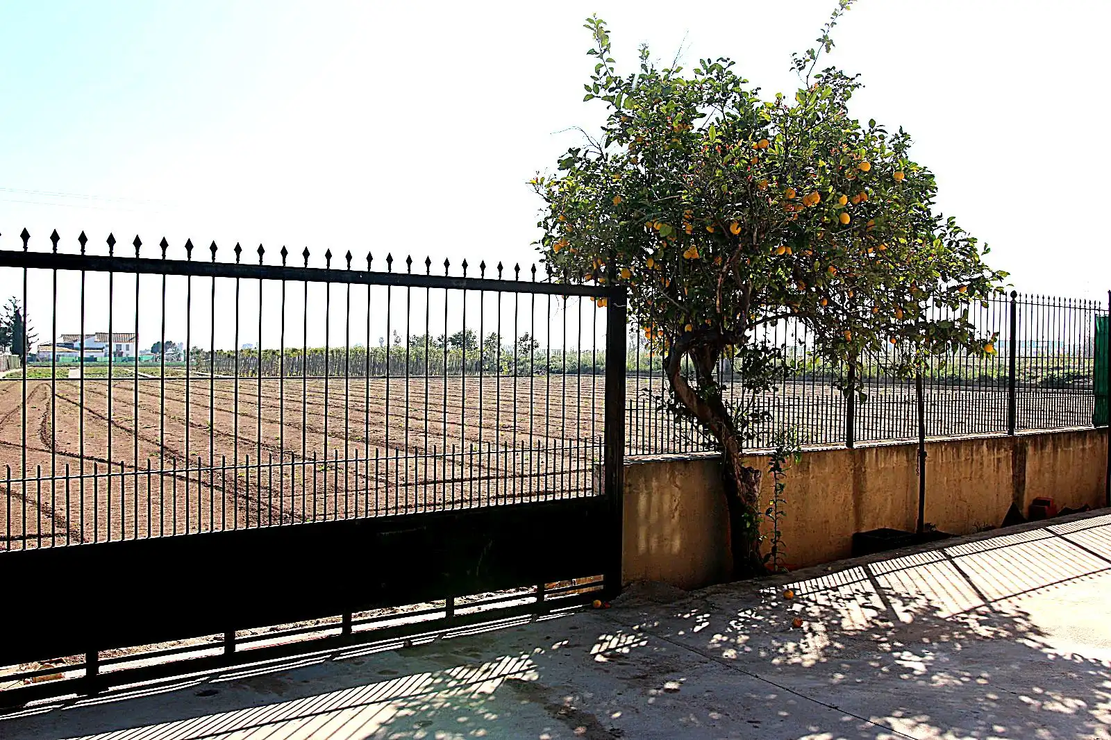 Jardín de Casa o chalet en venta en Alboraya con Jardín privado, Terraza y Trastero