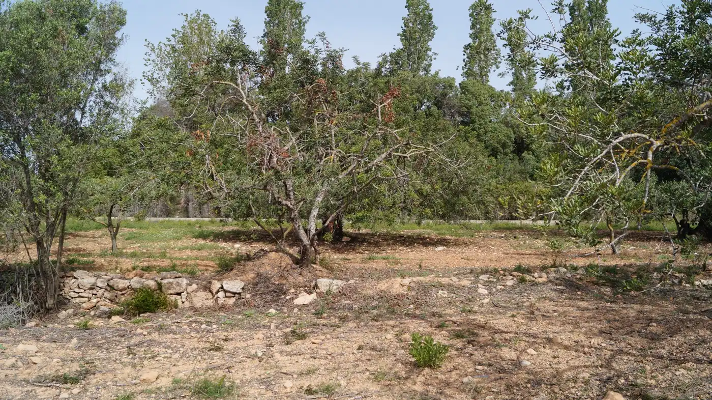 Terreno en venta en Torredembarra