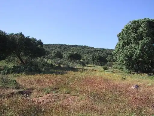 Terreni e lotti in vendita a Partidas Norte, imagen 9