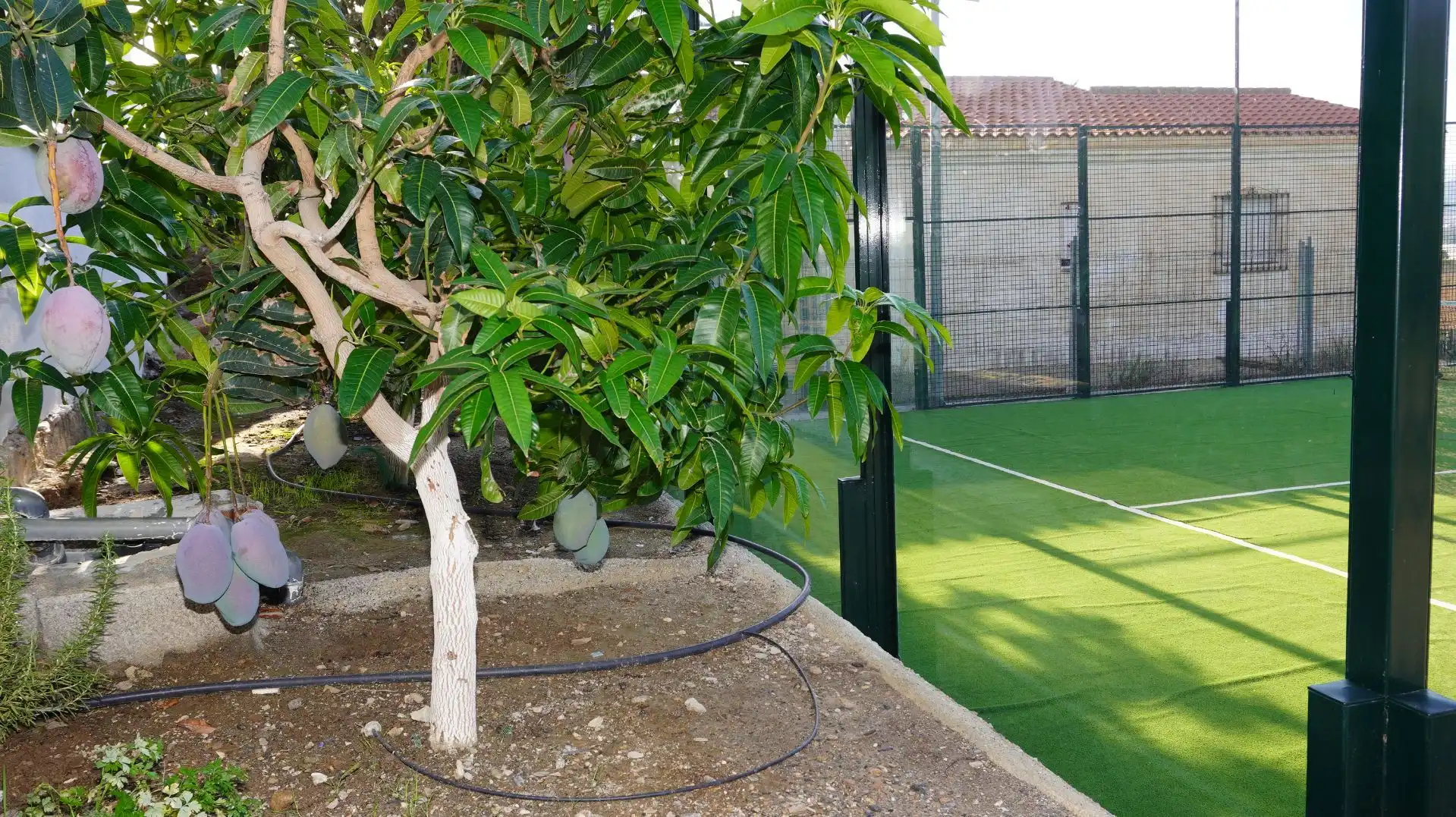 Jardí de Finca rústica en venda en Motril amb Aire condicionat, Terrassa i Traster