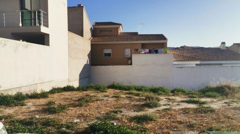 FinesTerreno, immagine 2