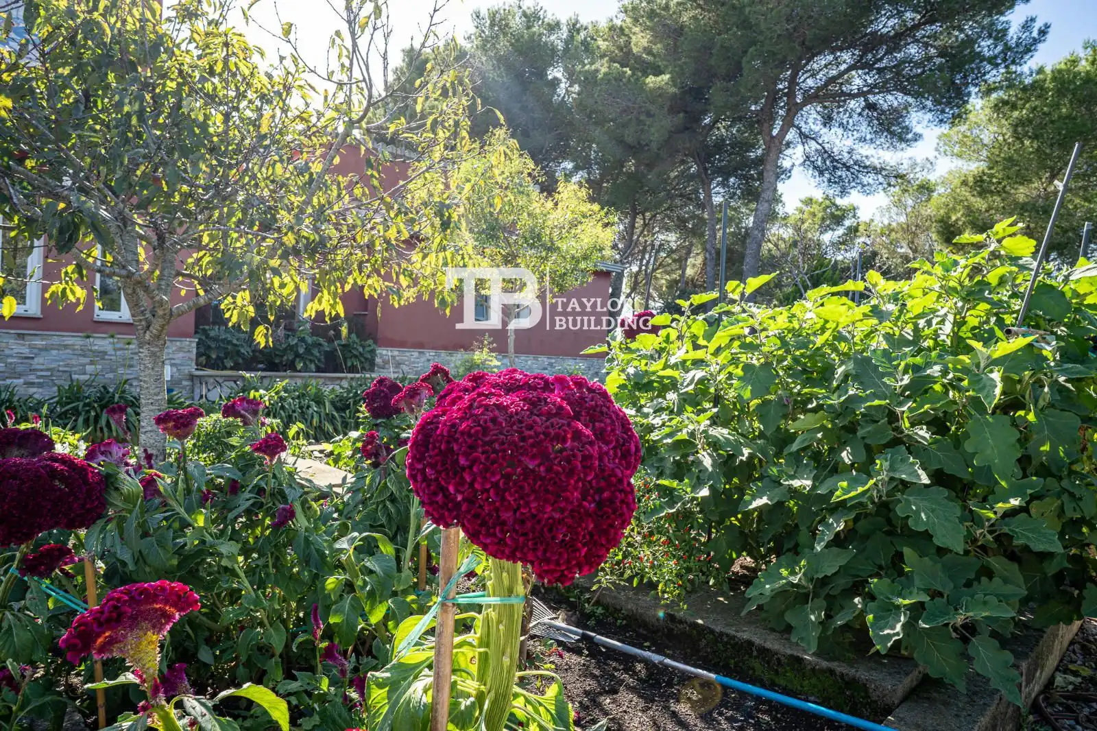 Jardín de Casa o chalet en venta en Son Servera con Aire acondicionado, Calefacción y Terraza
