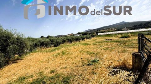 Parcela rústica en el Pedroso, immagine 3
