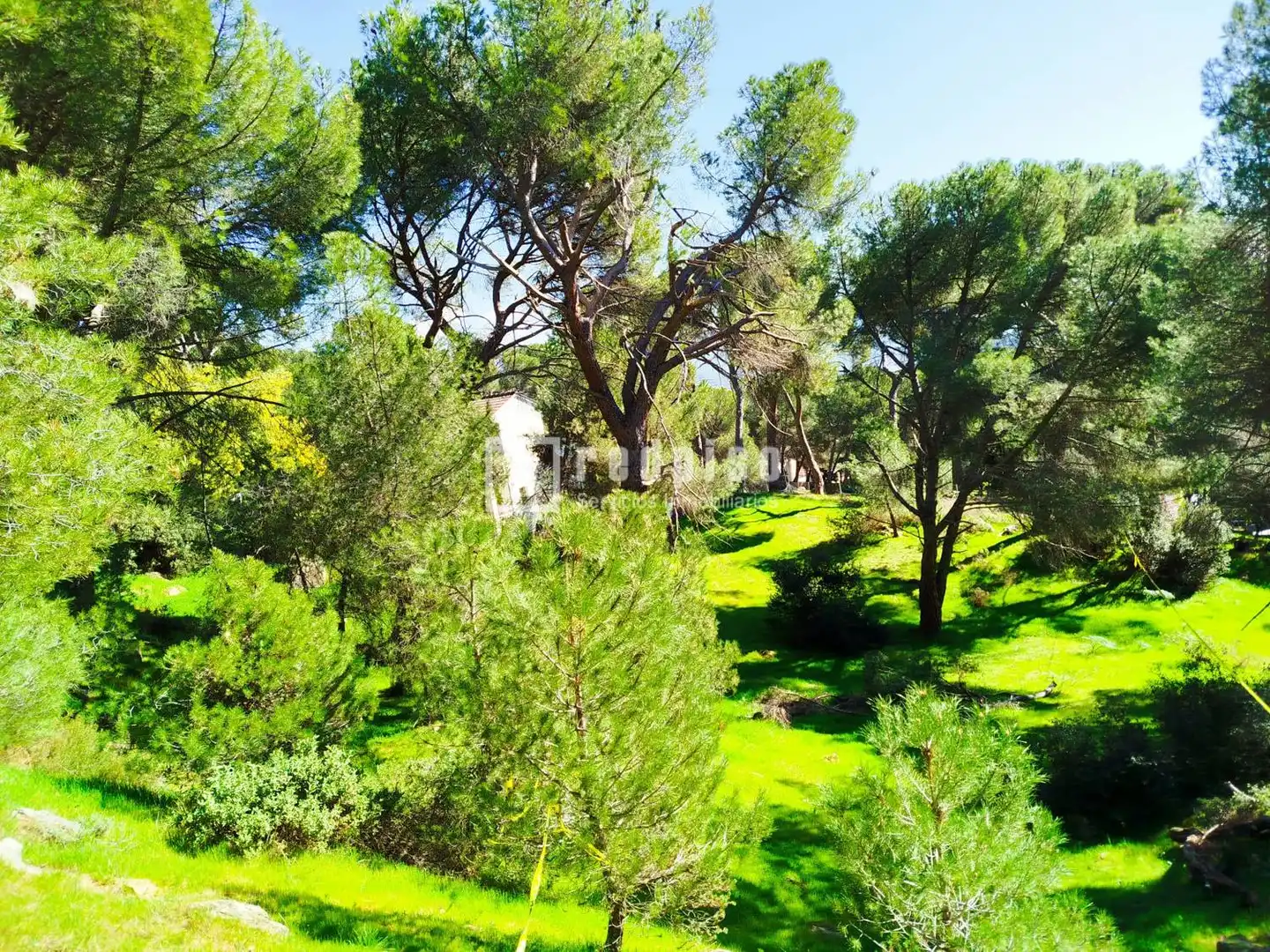 Residencial en venta en San Martín de Valdeiglesias