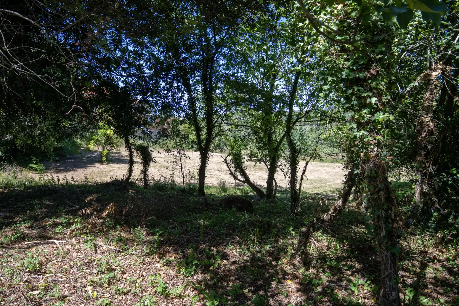 Terreno en venta en Villaviciosa
