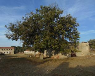 Exterior view of Constructible Land for sale in Mozoncillo