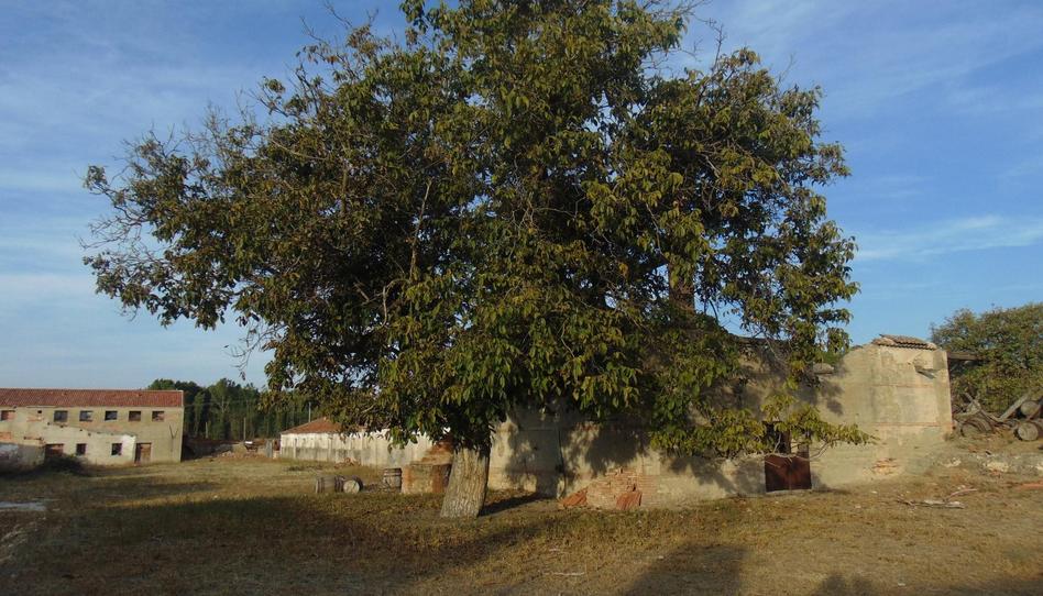 Constructible Land for sale in Calle Calvario, 16, Mozoncillo, Segovia - image 1 Photo 1 of Constructible Land for sale in Calle Calvario, 16, Mozoncillo, Segovia