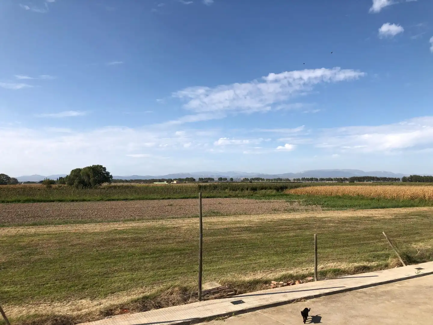 Terreno en venta en Ivars d'Urgell