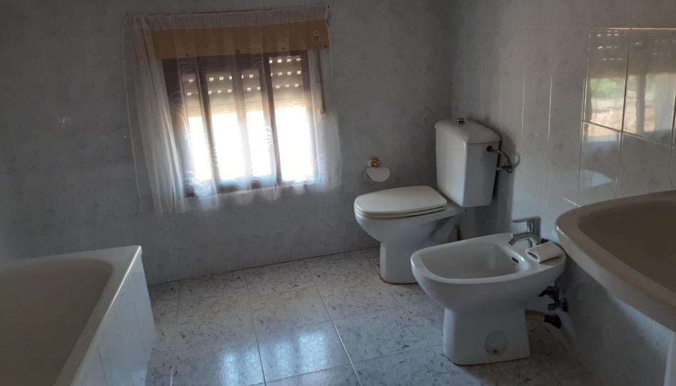 Finca rústica en venda a Calle Eras, Aldeanueva de Ebro, La Rioja - imatge 1 Foto 1 de Finca rústica en venda a Calle Eras, Aldeanueva de Ebro, La Rioja