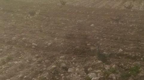 Photo 5 of Non-constructible Land for sale in Carretera Lillo, La Villa de Don Fadrique, Toledo