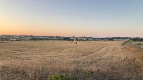 Foto 4 de Finca rústica en venda a Ma-3412, Santa Margalida Poble, Illes Balears