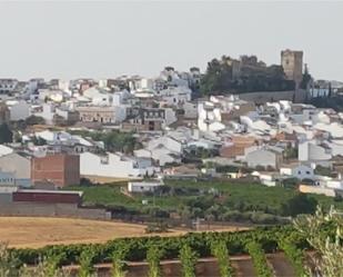 Exterior view of Land for sale in Montemayor