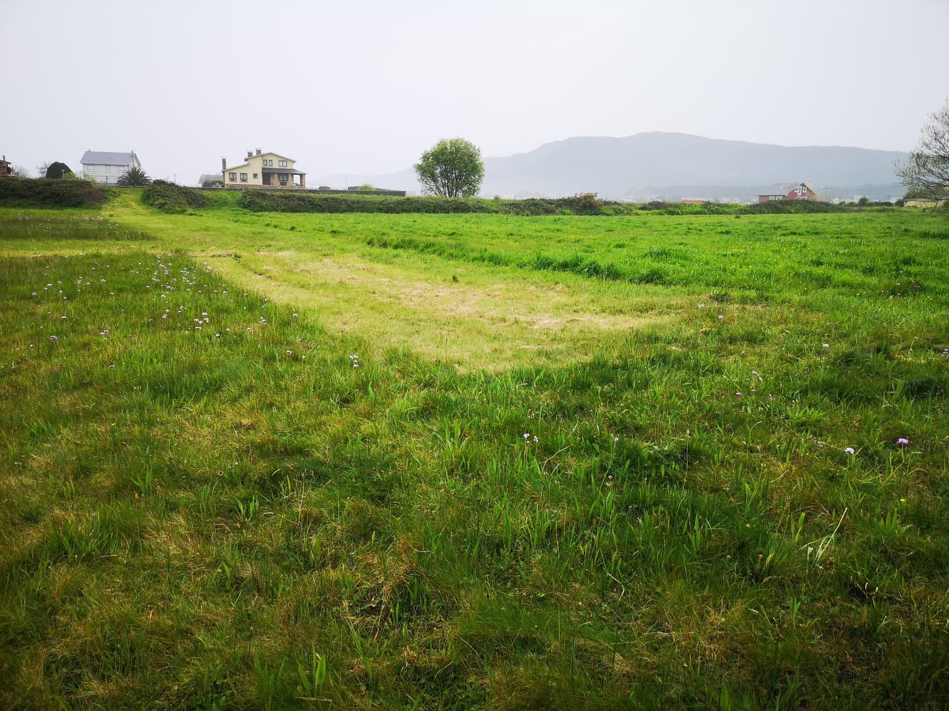 Non-constructible Land for sale in Barreiros