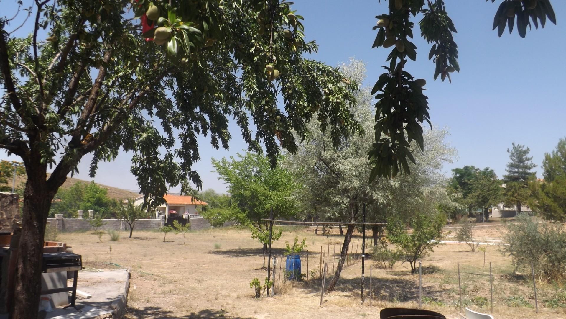 Constructible Land for sale in Barajas de Melo