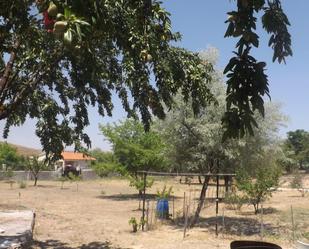 Constructible Land for sale in Barajas de Melo