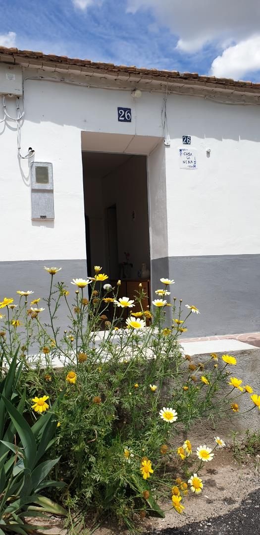Jardí de Casa o xalet en venda en  Murcia Capital amb Terrassa