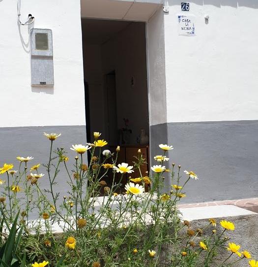 House or chalet for sale in Avenida Doctor Fabián Escribano Moreno, 44, Beniaján, Murcia - image 1 Photo 1 of House or chalet for sale in Avenida Doctor Fabián Escribano Moreno, 44, Beniaján, Murcia