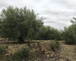 Grundstücke zum verkauf in Calasparra