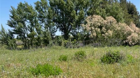 Photo 4 of Country house for sale in Ronda de Los Legionarios, La Palma del Condado, Huelva