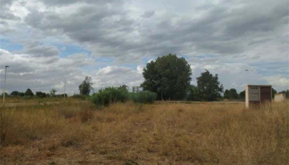 Terreno en venta en Urbanización Prados del Rey, 13, Pinseque, Zaragoza - imagen 1 Foto 1 de Terreno en venta en Urbanización Prados del Rey, 13, Pinseque, Zaragoza