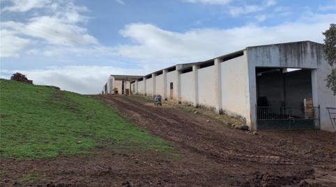 Foto 2 de Finca rústica en venta en N-430, Garbayuela, Badajoz