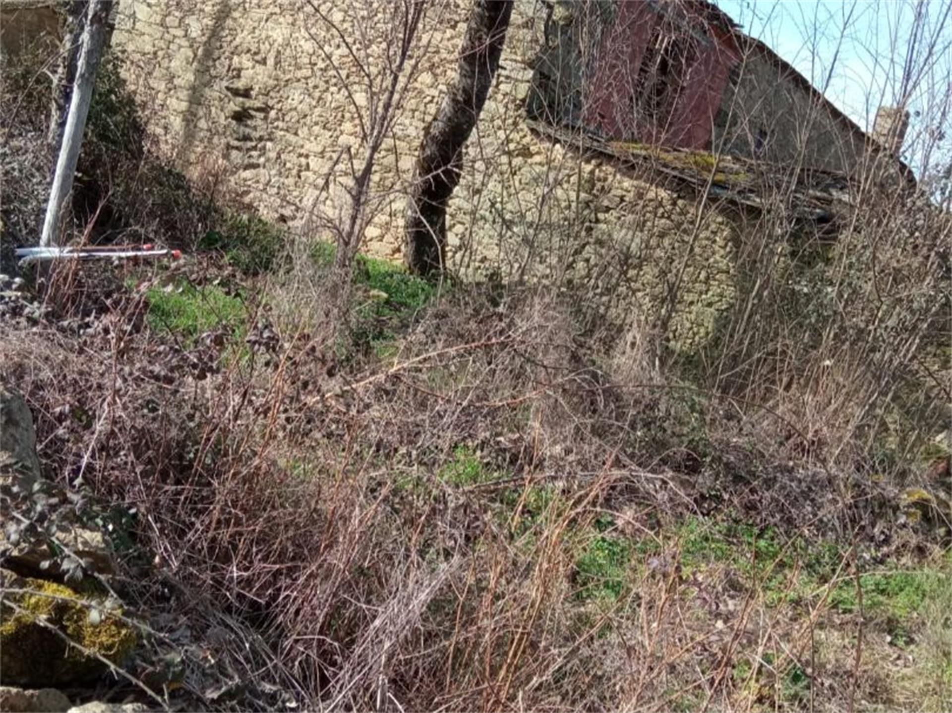 Land for sale in Manzanal de los Infantes