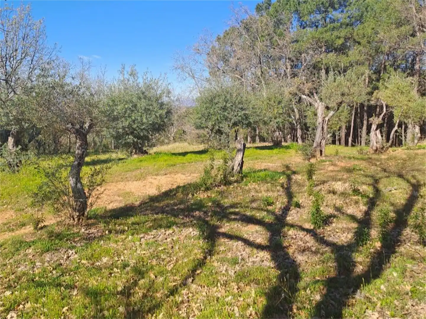 Terreno en venta en Poyales del Hoyo Terreno en venta en Poyales del Hoyo