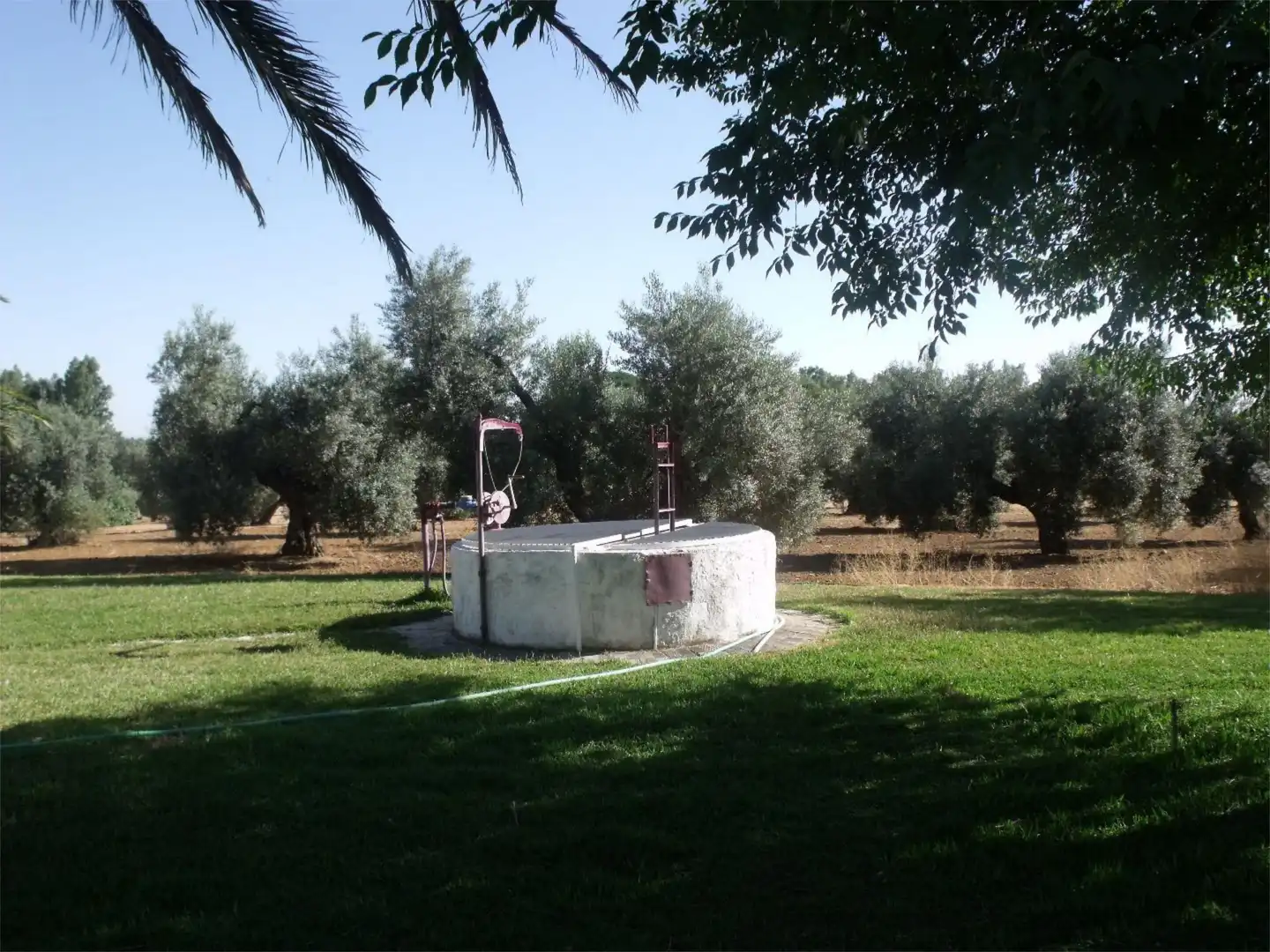 Finca rústica en venta en Diseminado Diseminados, 561, Marchena Jardín de Finca rústica en venta en Marchena