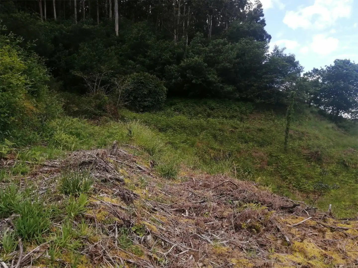 Land for sale in Camiño da Cabadiña, 4, Redondela Land for sale in Redondela