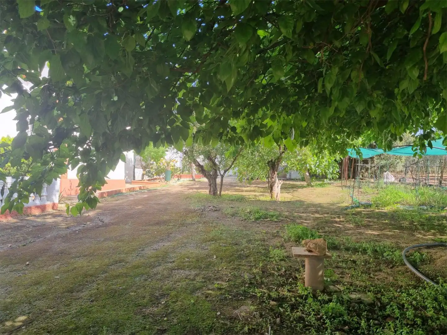 Finca rústica en venta en Calle San Antonio, 81, Aguilar de la Frontera Finca rústica en venta en Aguilar de la Frontera con Jardín privado, Terraza y Piscina