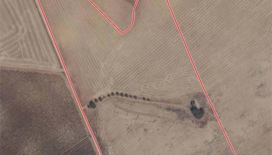 Foto 1 de Finca rústica en venta en Corral de Almaguer, Toledo