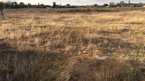 Foto 3 de Terreno en venta en La Pedraja de Portillo , Valladolid