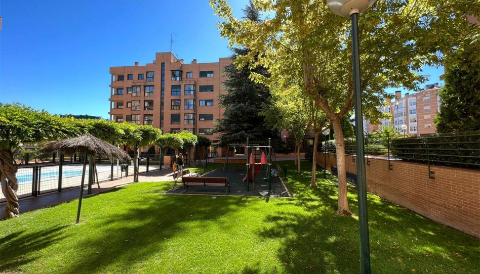 Piso de alquiler en Avenida de Los Arces, 17, Palomas - Imagen 2