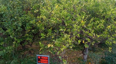 Foto 4 de Terreno en venta en Calle Mediodía, 9, Los Ramos, Murcia Capital