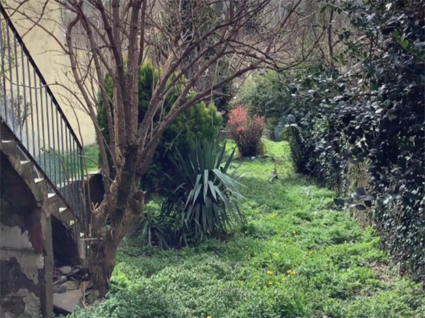Garden of Commercial properties for sale in Ribes de Freser