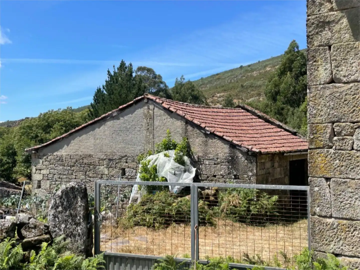 Land for sale in Aldea Ricobelo, San Cristovo de Cea Exterior view of Land for sale in San Cristovo de Cea