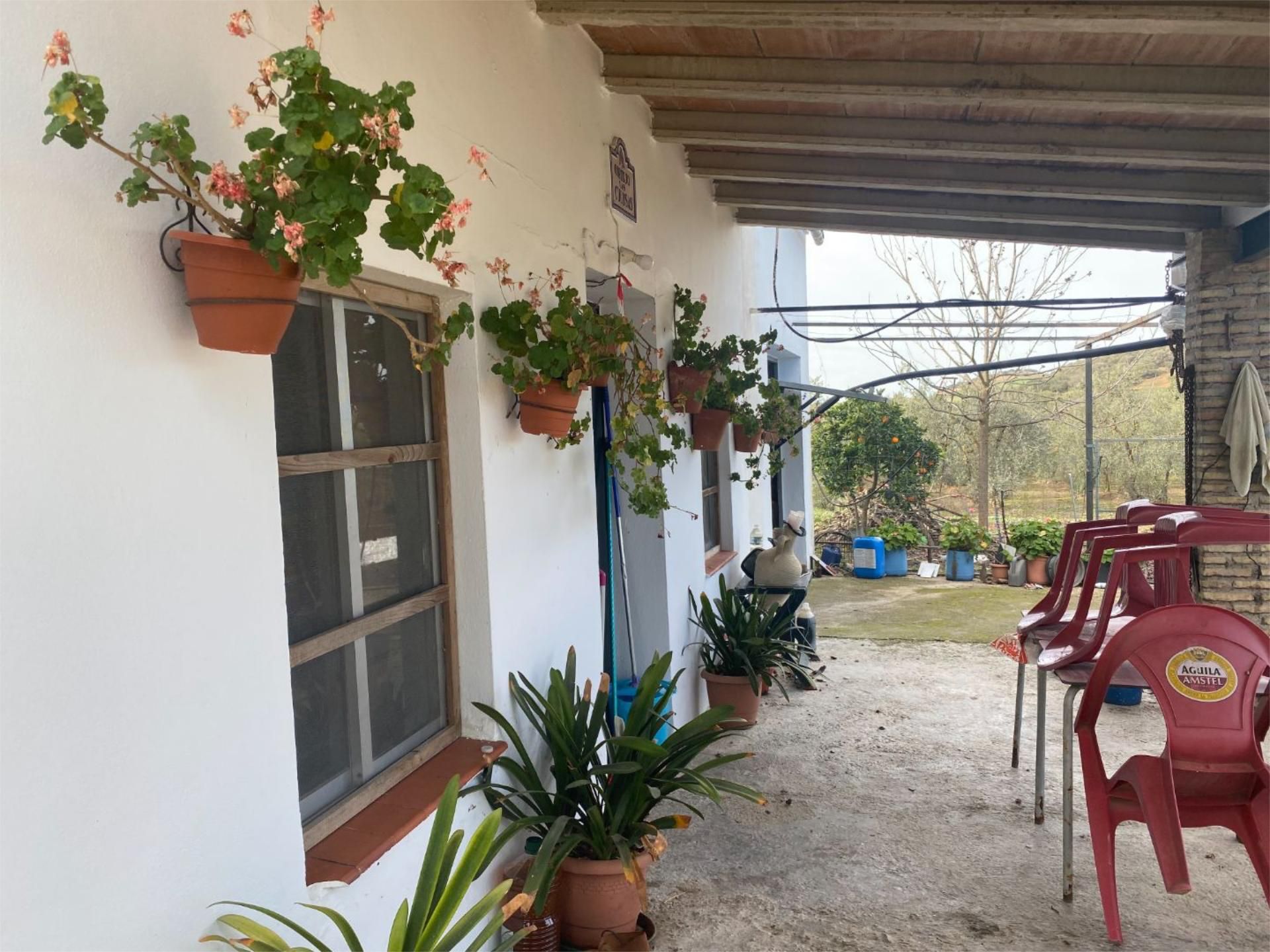 Exterior view of Country house for sale in Montellano  with Terrace