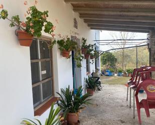 Vista exterior de Finca rústica en venda en Montellano amb Jardí privat, Terrassa i Traster