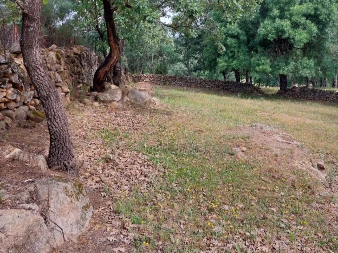 Constructible Land for sale in Torremenga