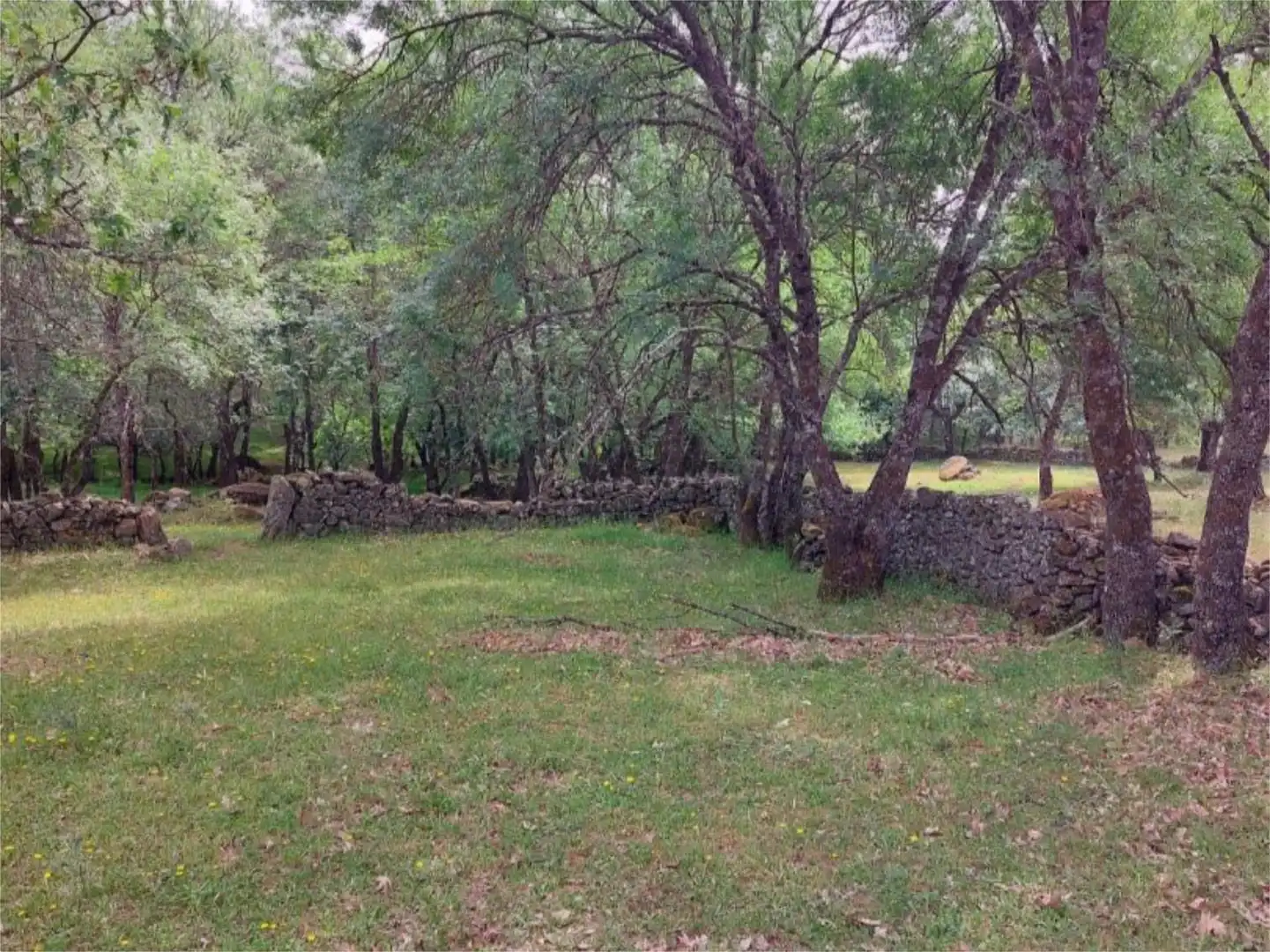 Constructible Land for sale in Torremenga