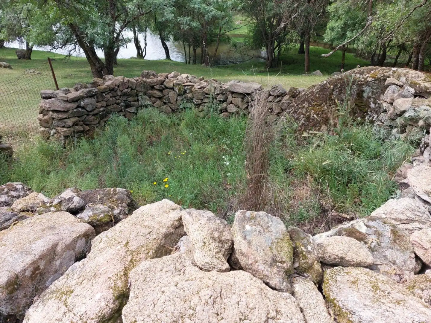 Constructible Land for sale in Torremenga