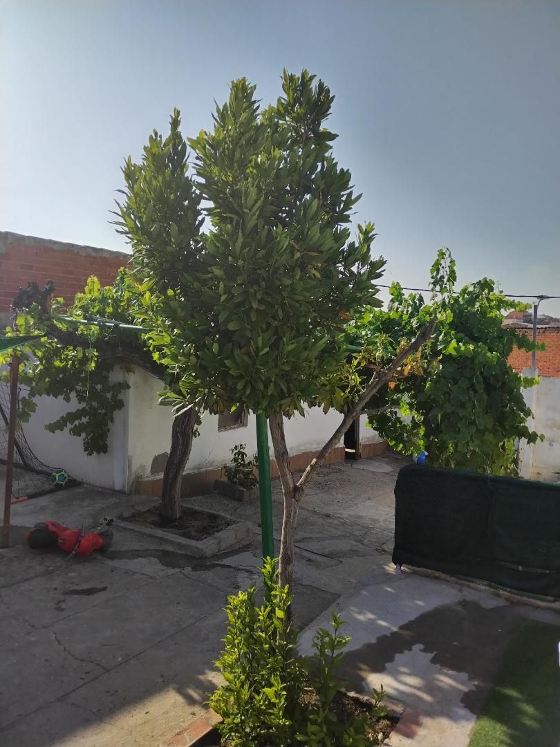 Jardín de Planta baja en venta en La Puebla de Montalbán con Calefacción, Jardín privado y Terraza