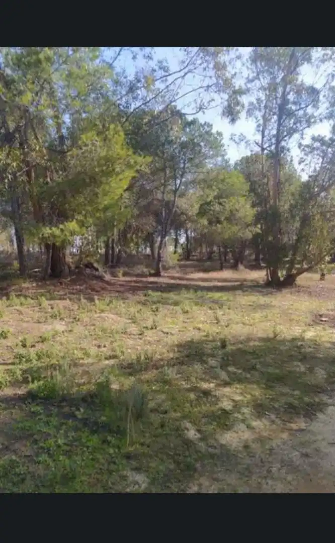 Finca rústica en venda a Calle Nuestro Padre Jesús Nazareno, 18, Rociana del Condado Finca rústica en venda en Rociana del Condado