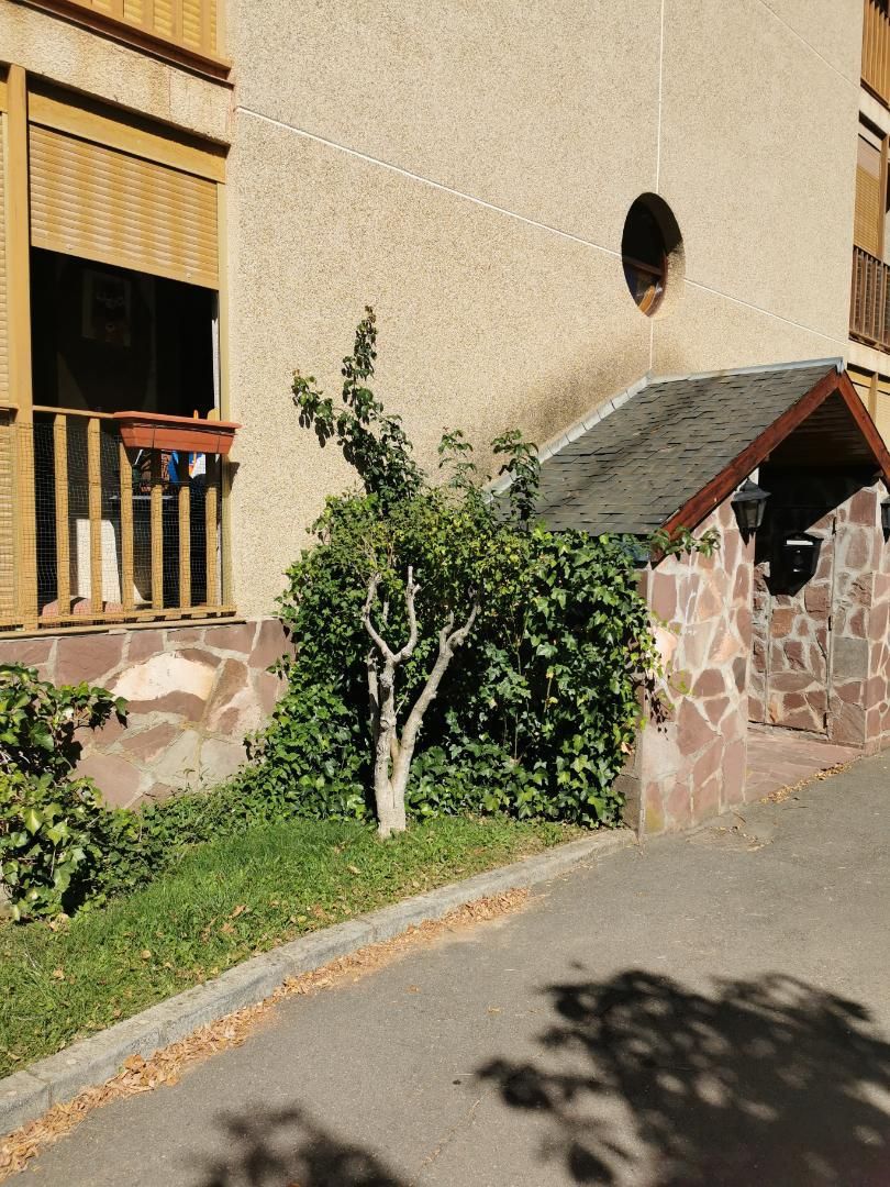 Garden of Apartment for sale in Castiello de Jaca  with Balcony