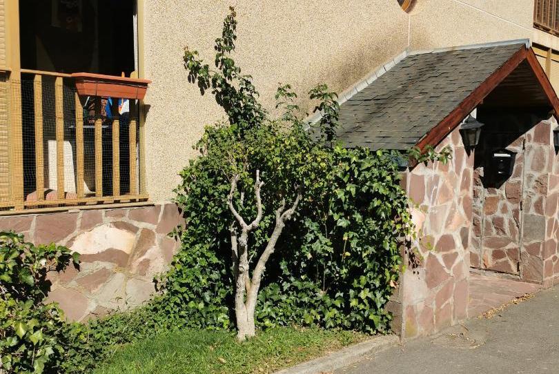 Apartament en venda a Calle la Fuente, 2, Castiello de Jaca, Huesca - imatge 1 Foto 1 de Apartament en venda a Calle la Fuente, 2, Castiello de Jaca, Huesca