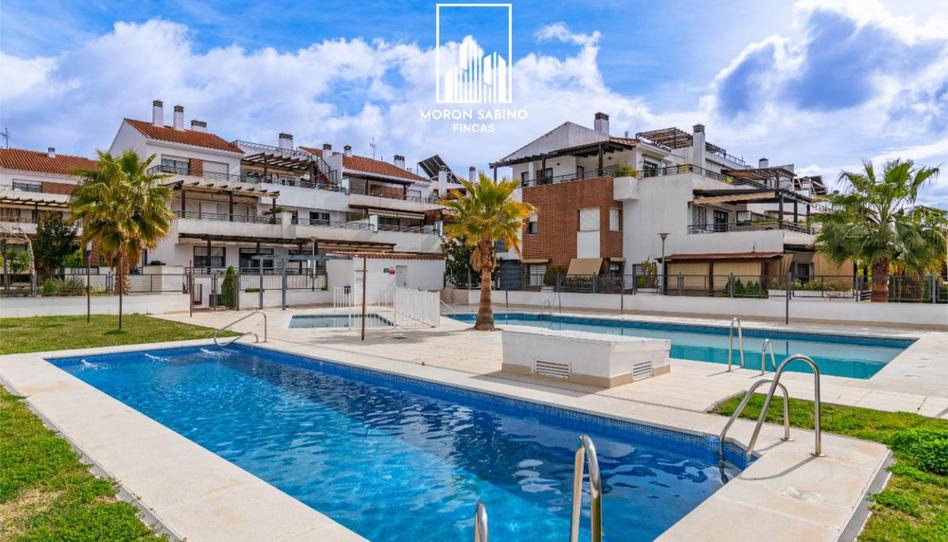 Flat for sale in Avenida de las Acacias, 14, Albolote, Granada - image 1 Photo 1 of Flat for sale in Avenida de las Acacias, 14, Albolote, Granada