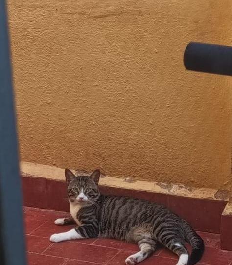 Pis en venda a Bulevar Ciudad de Vícar, 177, Puebla de Vícar, Almería - imatge 1 Foto 1 de Pis en venda a Bulevar Ciudad de Vícar, 177, Puebla de Vícar, Almería